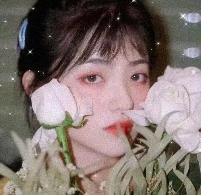 失踪的邦妮
